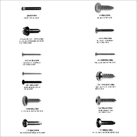 Stainless Steel Screws Fastener