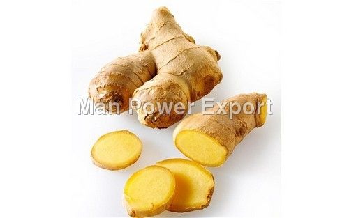 Fresh Yellow Turmeric Root