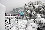 Kullu Manali Tour Package