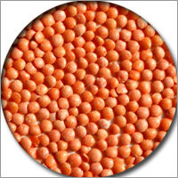 Red Lentil Pulses