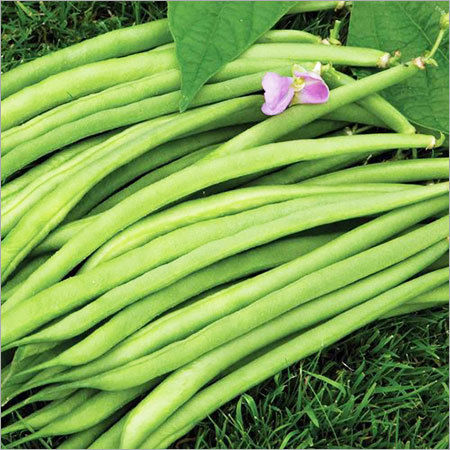 French Beans