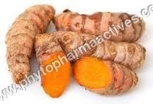 Curcumin Extract