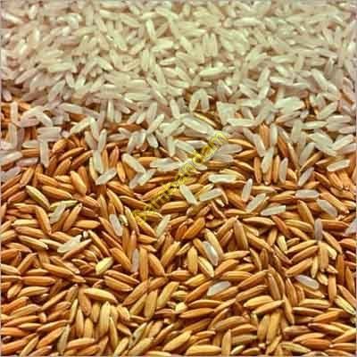 Polished Rice