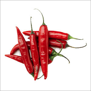 Fresh Red Chillies