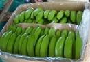 Green Banana