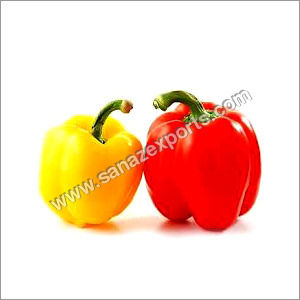 Capsicum Yellow & Red