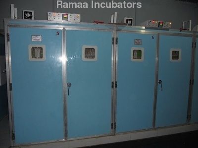 Poultry Double Setter Incubators