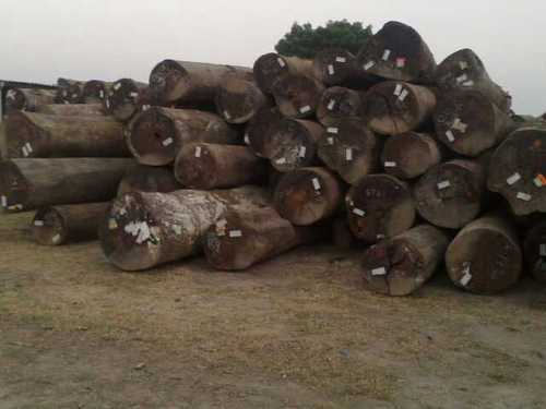 wood logs