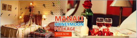Manali Honeymoon Package Age Group: Adults