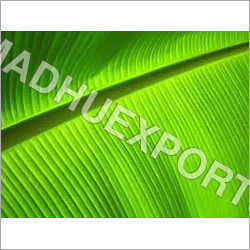 Fresh Banana Leaf