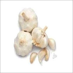 Garlic (Lasan)