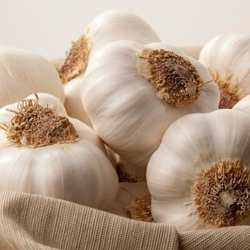 Organic White Garlic