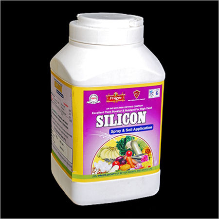 Silicon