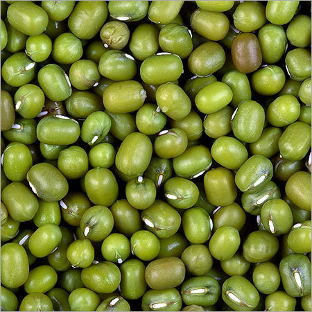 Green Moong By MAVIGA MIDDLE EAST TRADING DMCC