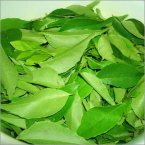 Curry Leaf Oil