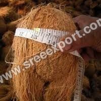 Fresh Coconut Exporters In India