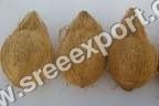 Fresh Coconuts Exporters