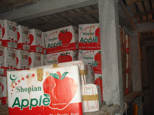 Fruits Cold Storage By SPARKLE MULTI PURPOSE COLD STORAGE PVT. LTD.
