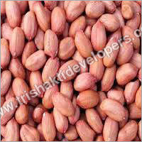 HPS Groundnuts