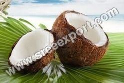 Natural coconut exporters