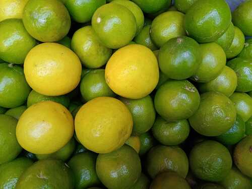 Fresh Yellow Lemon Moisture (%): 95