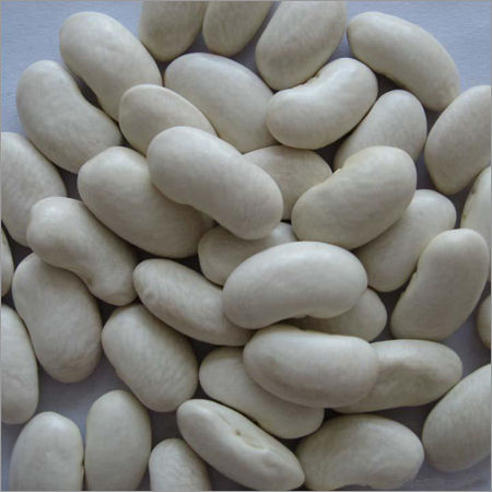 White Kidney Bean Extract - 10000 Units/G Amylase Inhibitory Activity | Weight Management, Starch Blocker