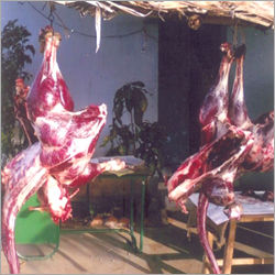 Emu Meats