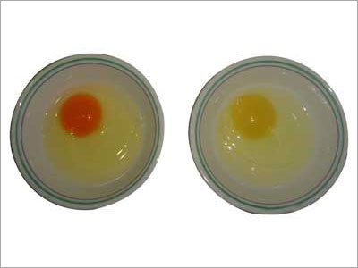 Herbal Odorless Eggs