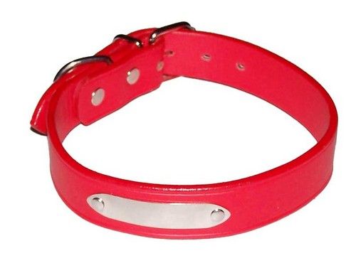 Dog Collar