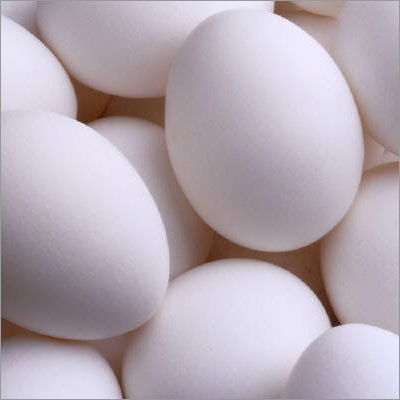 White Chicken Egg