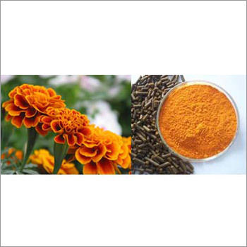 Marigold Extract