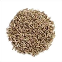 cumin seed