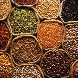 ARUN Pulses