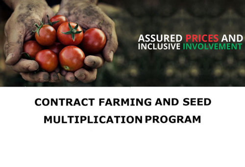 Contract Farming Services By Gramco Infratech Pvt. Ltd.