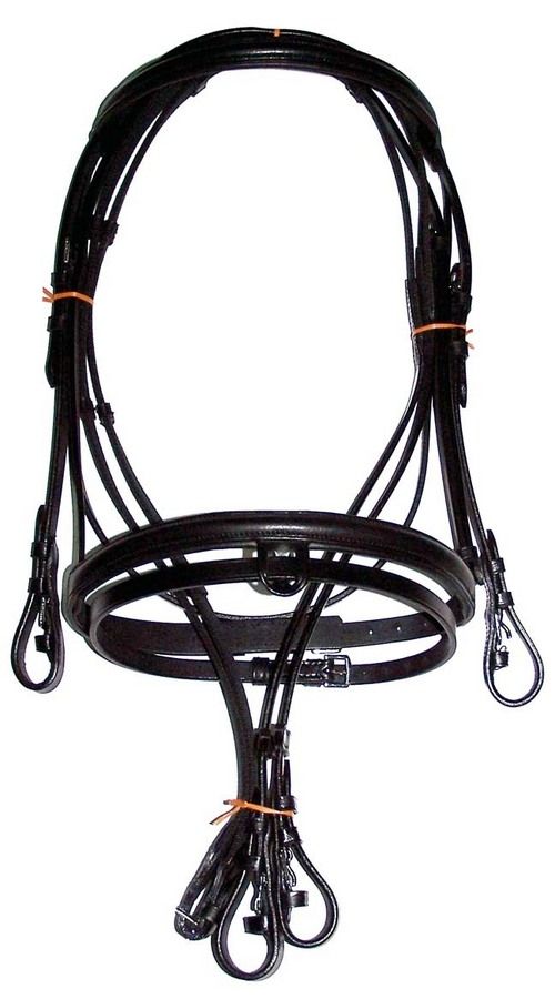 Bridle