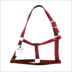 PP Halter