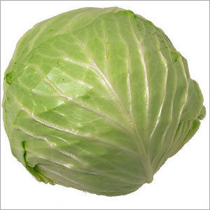 Cabbage