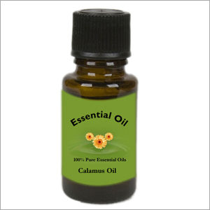 Calamus Oil