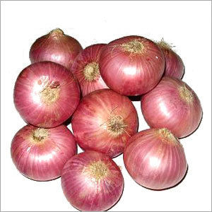 Fresh Red Onions