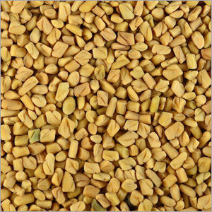 Fenugreek Oil