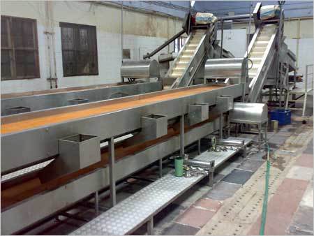 Food Processing Common Feeder