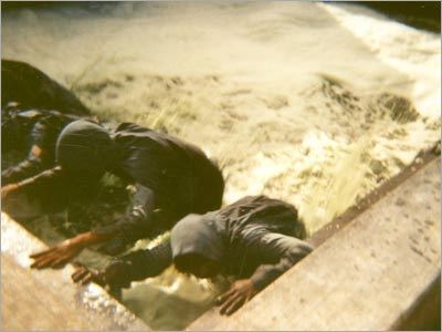 Natural Dyed Fabrics