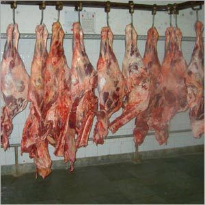 Buffalo Meat - Boneless & Skinless, Fresh Quality Well Frozen Beef in Food Grade Polythene Packaging