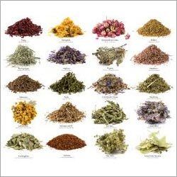 Indian Spices