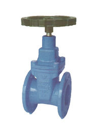 Ductile Iron Reselient Valves