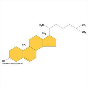 Steroids & Its Intermediates