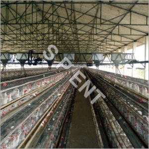 Poultry Watering Systems