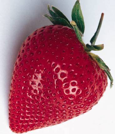 Fresh Frozen Strawberry