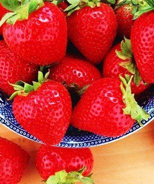 Automatic Strawberry Fruits