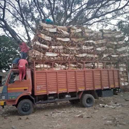  पर्यावरण के अनुकूल पक्कुमटाई (सुपारी का पत्ता) ग्रेड: प्रीमियम